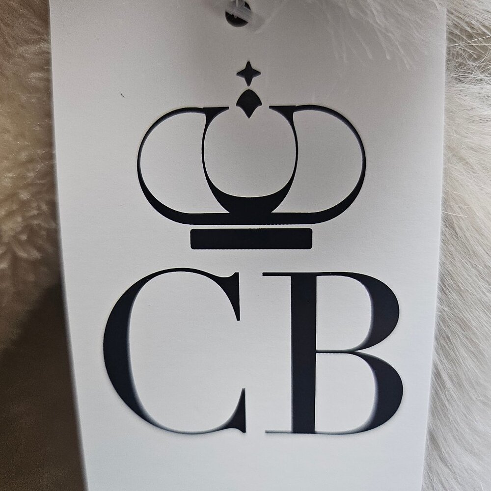 C R Apparel Champagne With Hints of Gold Shimmer … - image 7